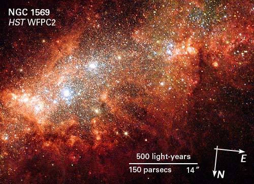 イタリア ジェノバ 1563年 1/2DOP NGC MS61 イタリア ジェノバ 1563年